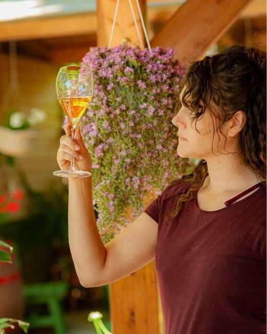 Goriano Valli: Wine Tasting among the Vineyards of Vigna di More - The Sum Up