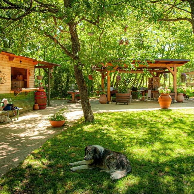 Goriano Valli: Wine Tasting among the Vineyards of Vigna di More - FAQ