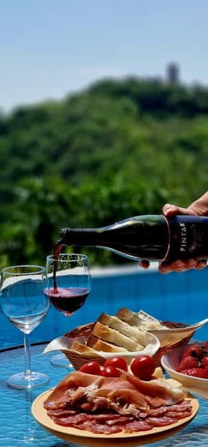 Gorika Brda: Wine Tasting with Local Snacks - Gorika Brda: Wine Tasting with Local Snacks — A Genuine Slovenian Experience