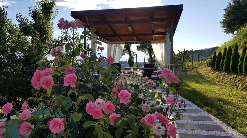 Gorika Brda: Wine Tasting with Local Snacks - The Value of This Tour