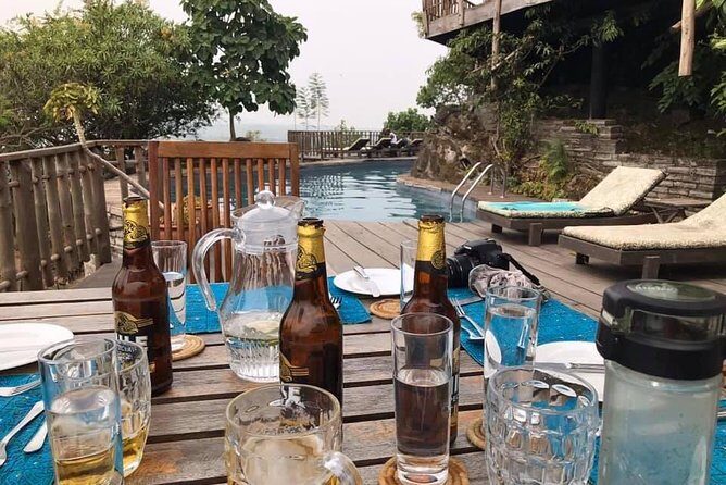 Gorilla and chimp experience holiday - An Honest Look at the Tour Experience