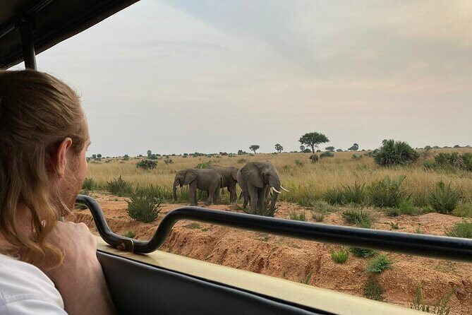 Gorilla & Chimpanzee Trekking in Uganda - 5 Days - A Closer Look at the Itinerary