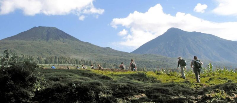 Gorilla Trekking Day Tour with Lunch - What’s Included and What You Should Budget For