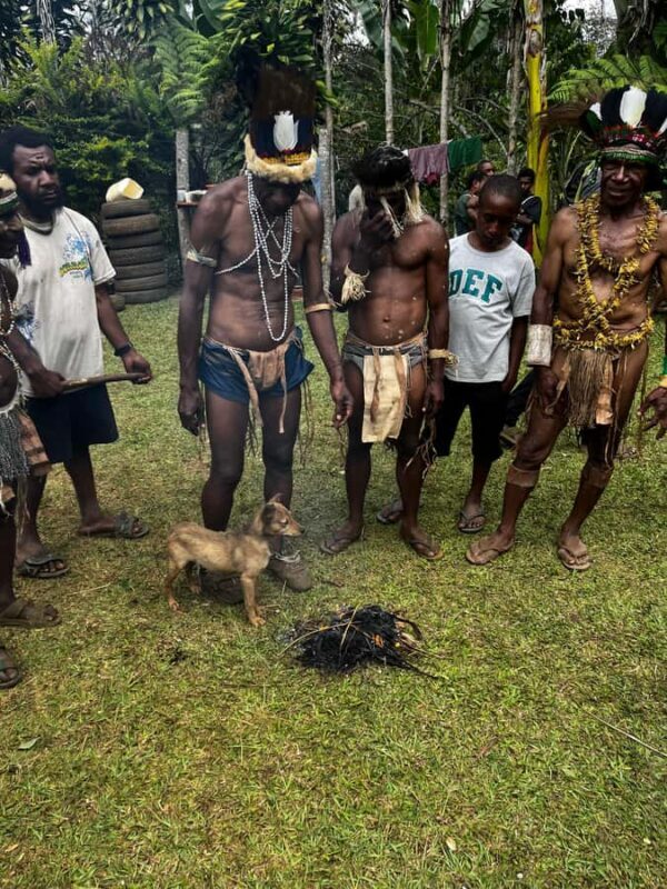 Goroka: Kameufa village tour with traditional dance - Key Points