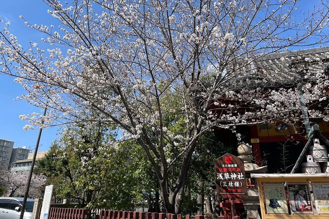 goshuin-collecting-tour-at-asakusa-local-temples-shrines-tokyo