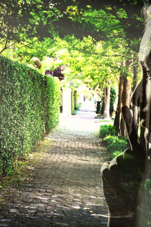 gossip-grandeur-a-stroll-through-nolas-garden-district
