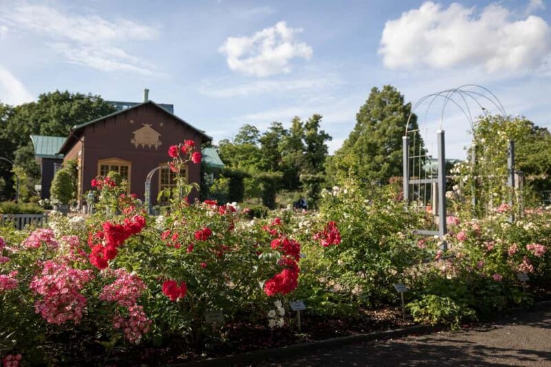 Gothenburg: Guided Walking Tour of the Main Landmarks - Key Points