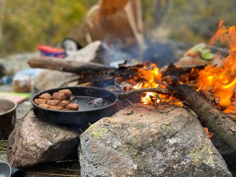 Gothenburg: The Local Experience - Home Visit, Food & Forest - Introduction