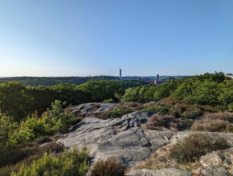 Gothenburg: Walking Tour Like a Local! - The Fika Tradition: A Swedish Pause
