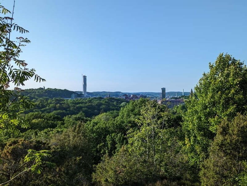 Gothenburg: Walking Tour Like a Local! - The Walking Experience: Pros and Considerations