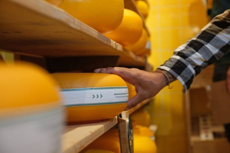 gouda-gouda-cheese-experience-entry-ticket