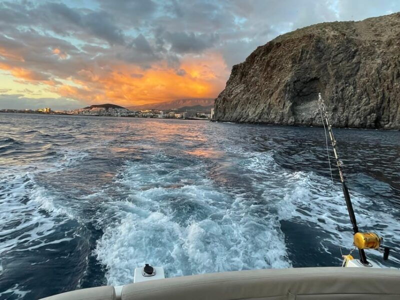 gourmet-cruise-at-sunset-with-whale-watching