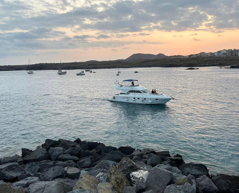 gourmet-cruise-at-sunset-with-whale-watching