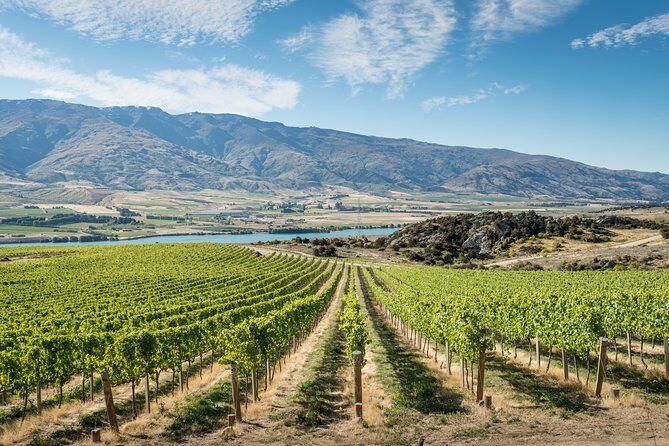 Gourmet Food and Wine Tour Queenstown All-Inclusive Tour - Discover Queenstown’s Gourmet Food and Wine Tour — An Authentic Experience