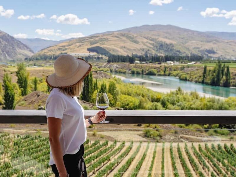 Gourmet Food and Wine Tour with Lunch and Wine Tastings - The Complete Experience: What to Expect from the Tour