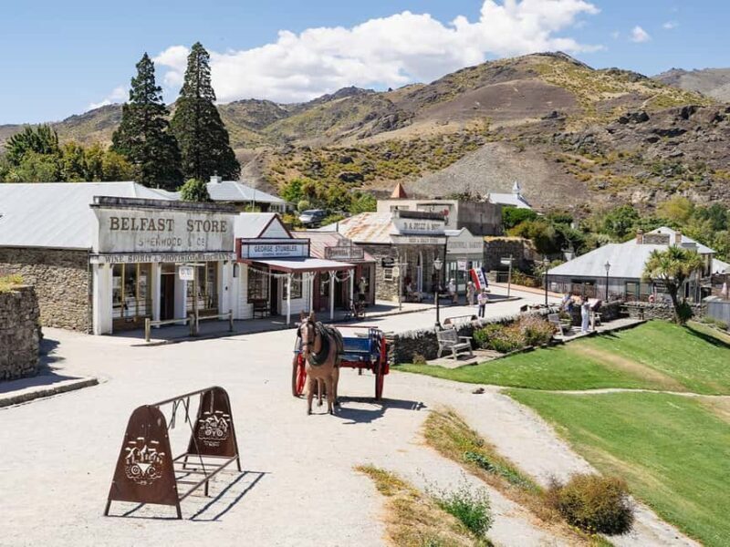 Gourmet Food and Wine Tour with Lunch and Wine Tastings - Who Should Consider This Tour?