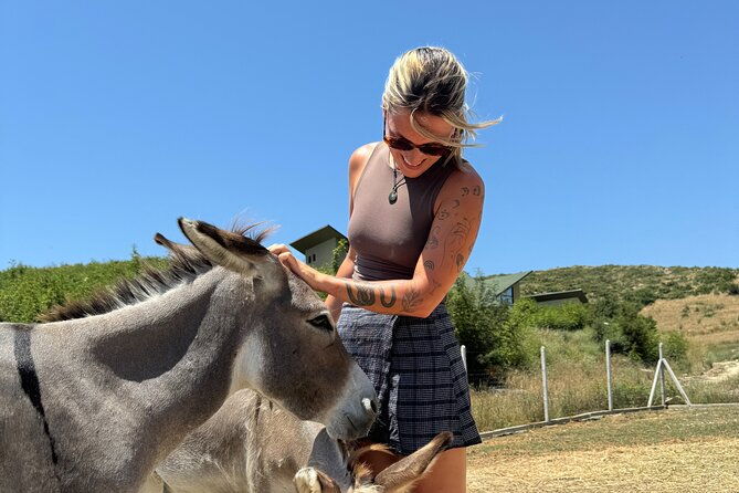 gourmet-lunch-farm-tour-with-cooking-class