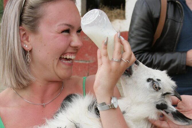 gourmet-lunch-farm-tour-with-cooking-class