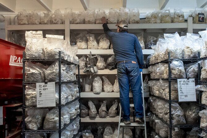 Gourmet Mushroom Farm Tour in Tennessee - Practical Aspects