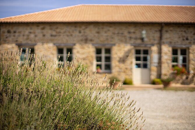 Gourmet Wine & Food Tasting - Final Thoughts