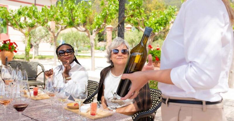 gourmet-winery-tour-wine-tasting-and-8-course-gourmet-menu