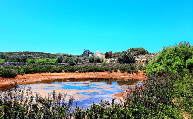 gozo-unveiled-guided-hiking-in-comino-island
