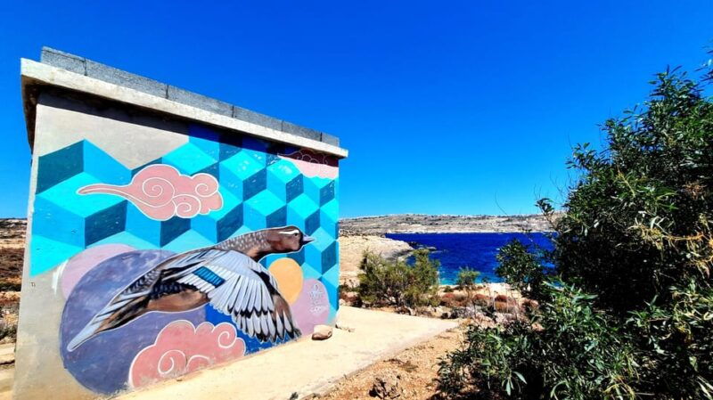gozo-unveiled-guided-hiking-in-comino-island