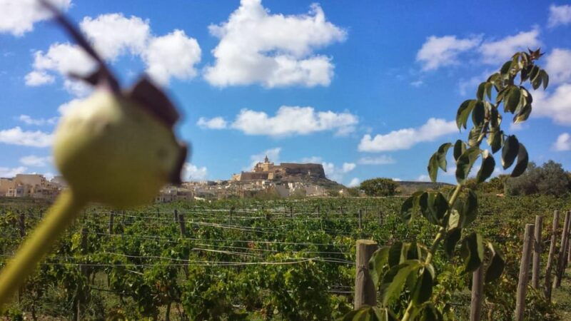 gozo-victoria-walking-tour