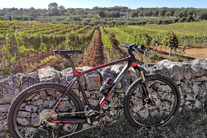gps-self-guide-locorotondoalberobello-tasting-in-the-vineyard