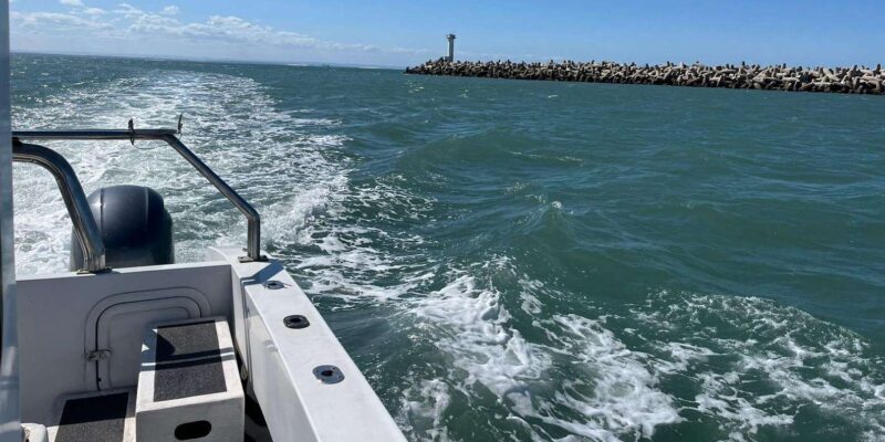 Gqeberha: HARBOUR CRUISE - Final Thoughts