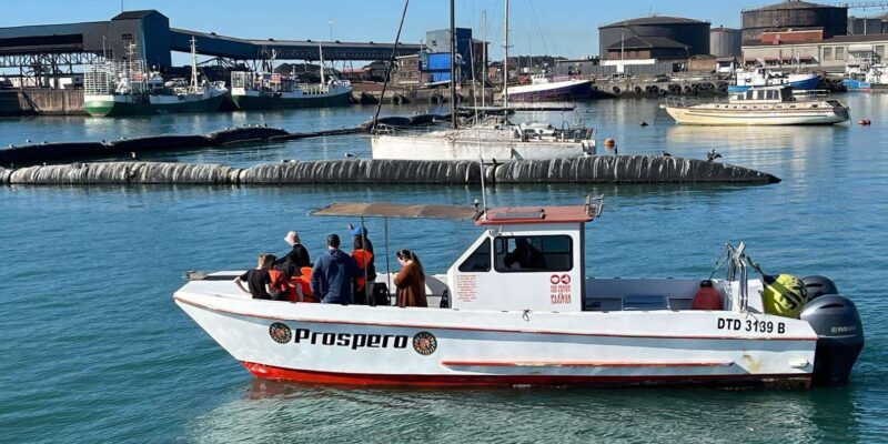 Gqeberha: HARBOUR CRUISE - FAQ
