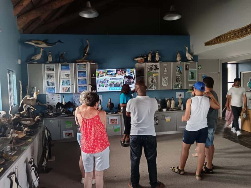 Gqeberha:Addo Elephant National Park and Coastal Tour Combo - What Is the Gqeberha Addo Elephant and Coastal Tour?