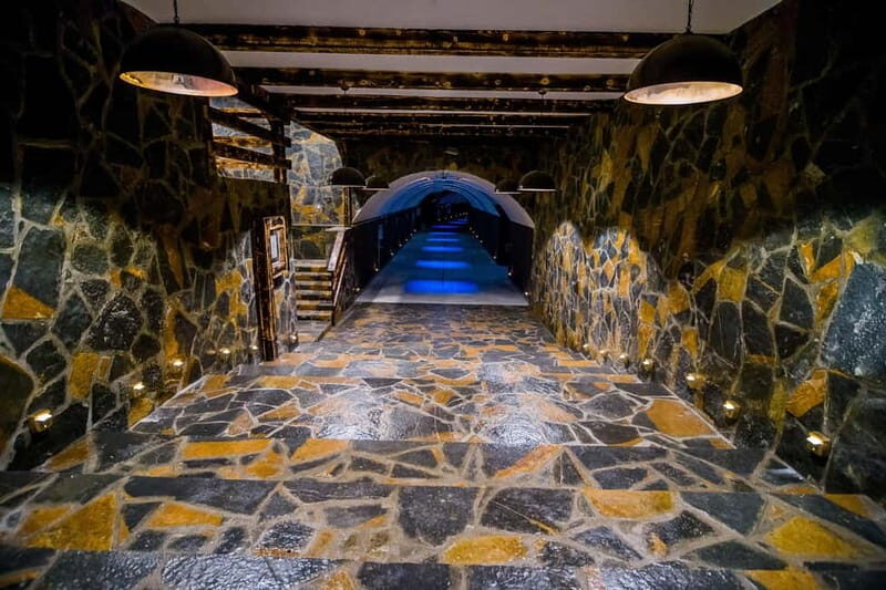 Graani: Winery Tour and Tasting at Winery Lipovac - An Introduction to Montenegro’s Winemaking Heritage