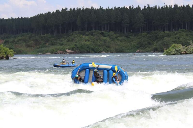 Grade 3 White water rafting on the Nile River - Key Points