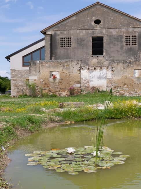 Grado: Journey into Ceramics with Tour & Wine Tasting - The Garden & Wine Tasting