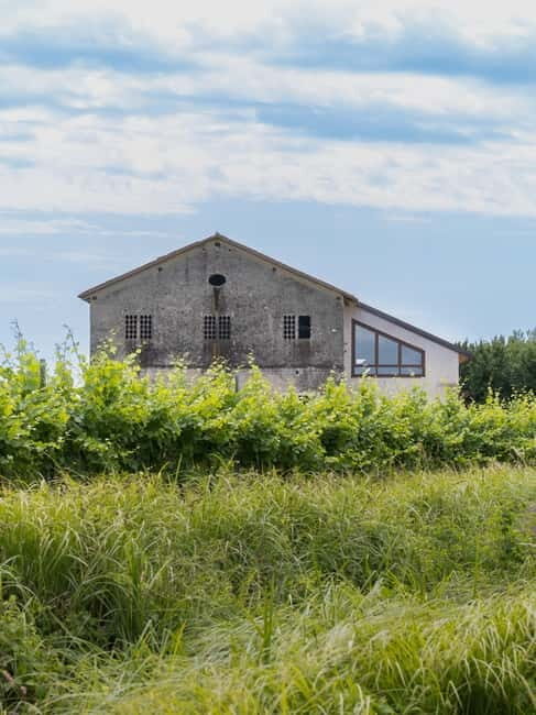 Grado: Journey into Ceramics with Tour & Wine Tasting - Final Thoughts