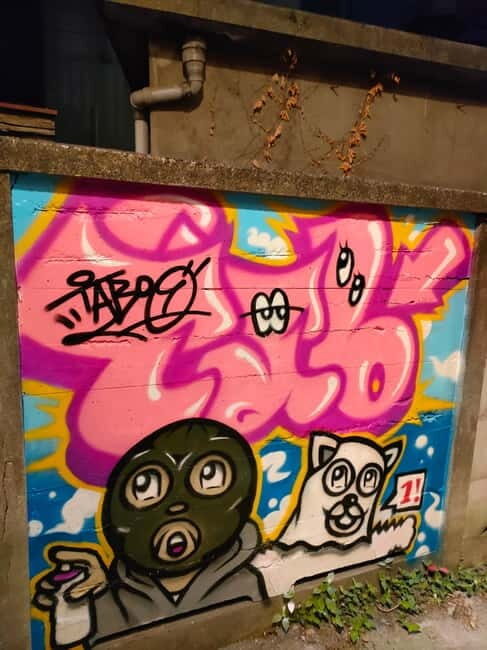 Graffiti in Tokyo Walking Tour: Shibuya and Harajuku - Final Thoughts