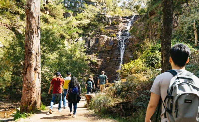 Grampians National Park Small-Group Eco Day Tour - The Journey Begins: Comfort and Convenience