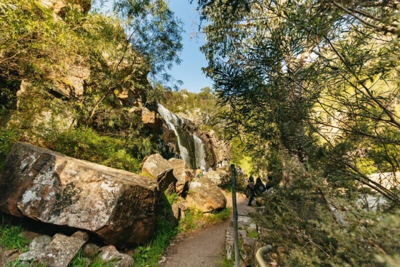 Grampians National Park Small-Group Eco Day Tour - Who Should Book This Tour?