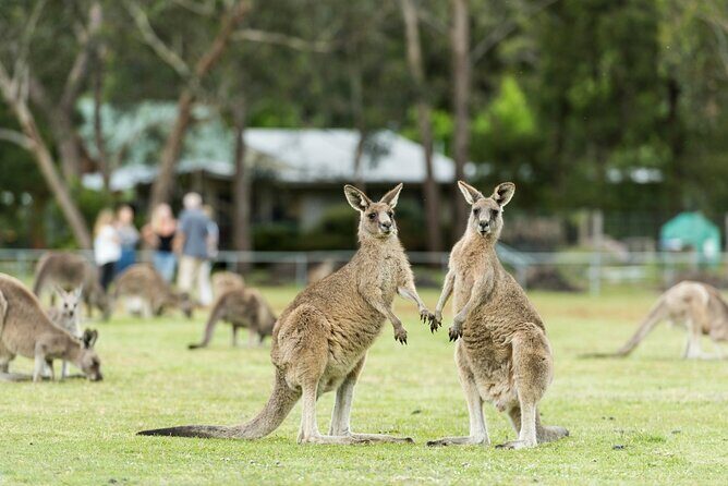 Grampians National Park Small-Group Eco Tour from Melbourne - FAQ