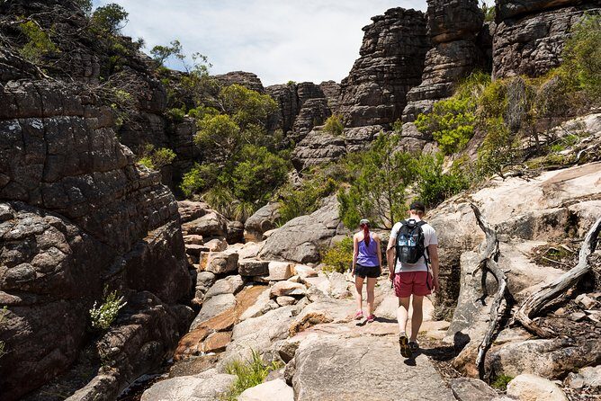 Grampians National Park with MacKenzie Falls and Kangaroos - Who Should Book This Tour?