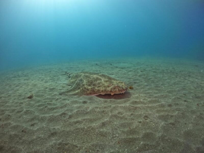 gran-canaria-3-day-open-water-diver-course