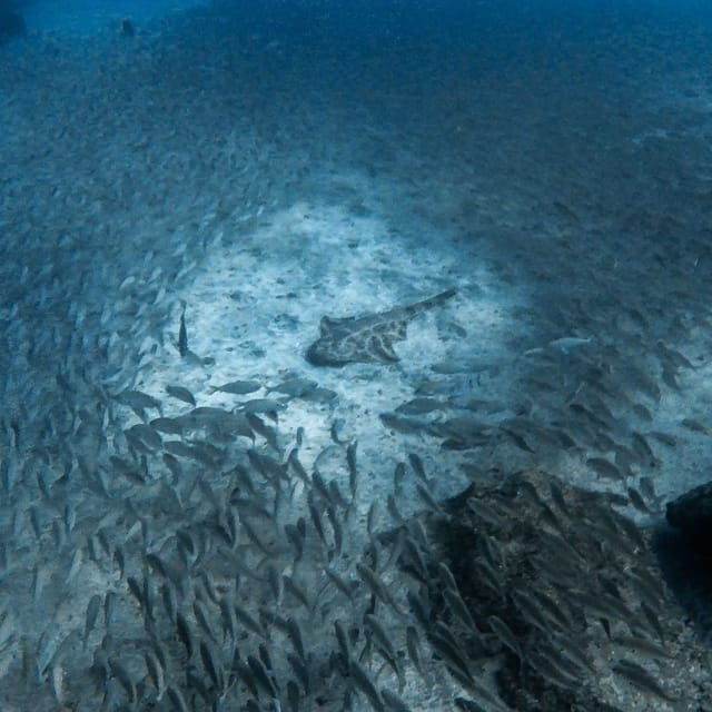 gran-canaria-3-day-open-water-diver-course