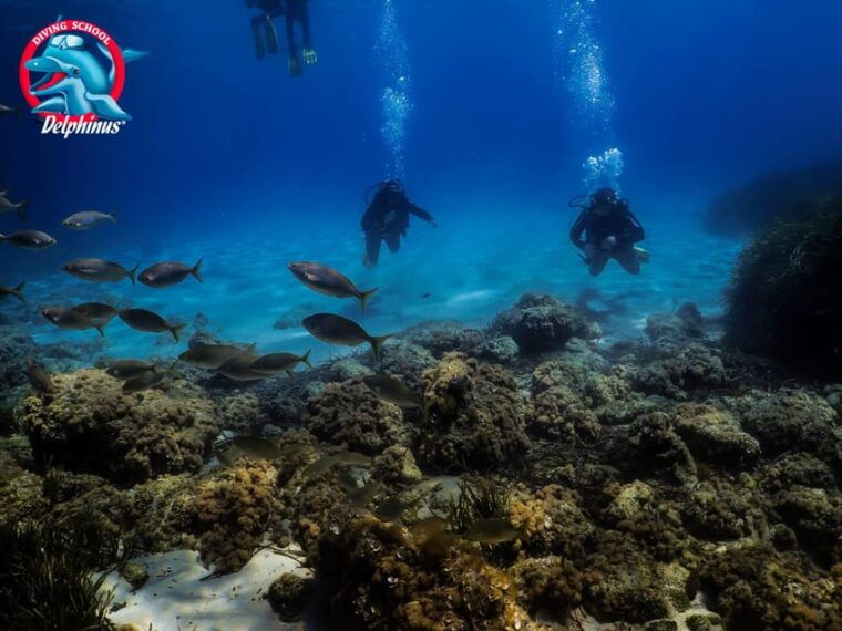 gran-canaria-3-day-open-water-diver-course