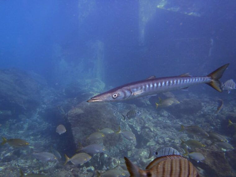gran-canaria-3-day-open-water-diver-course