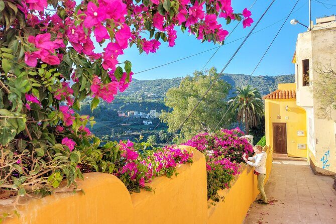Gran Canaria 7 Highlights Small Group Tour with Tapas Picnic - What Makes This Tour Stand Out?