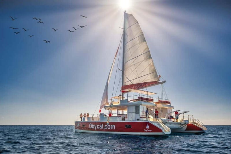 Gran Canaria: All-inclusive tour in the south of Gran Canaria - Who Should Book This Tour?