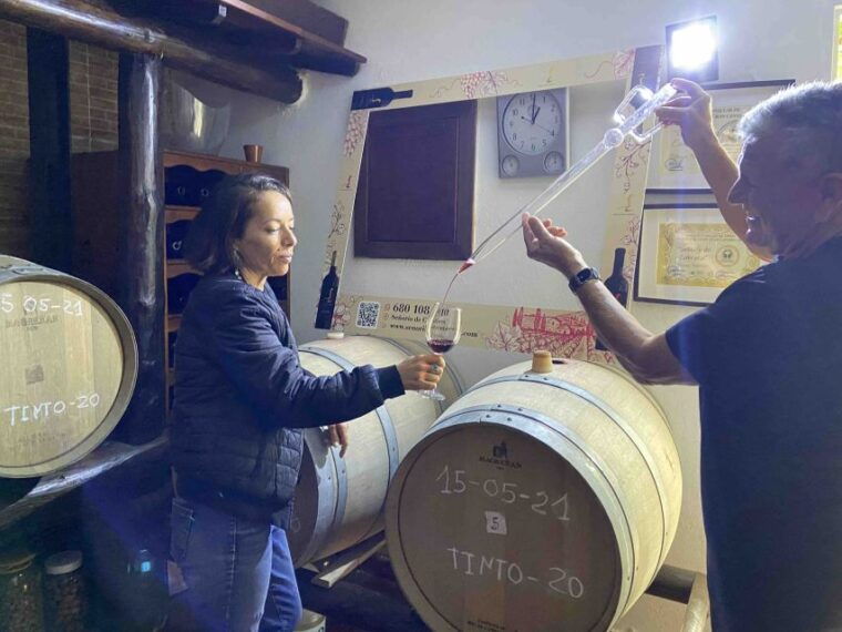 gran-canaria-best-wineries-and-views-tour