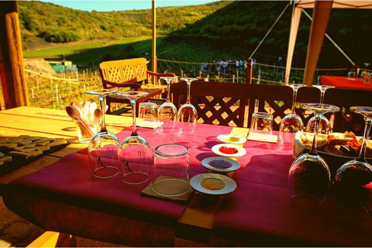 gran-canaria-best-wineries-and-views-tour