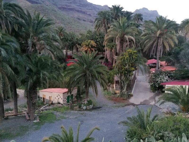 gran-canaria-camel-ride-at-camel-safari-park